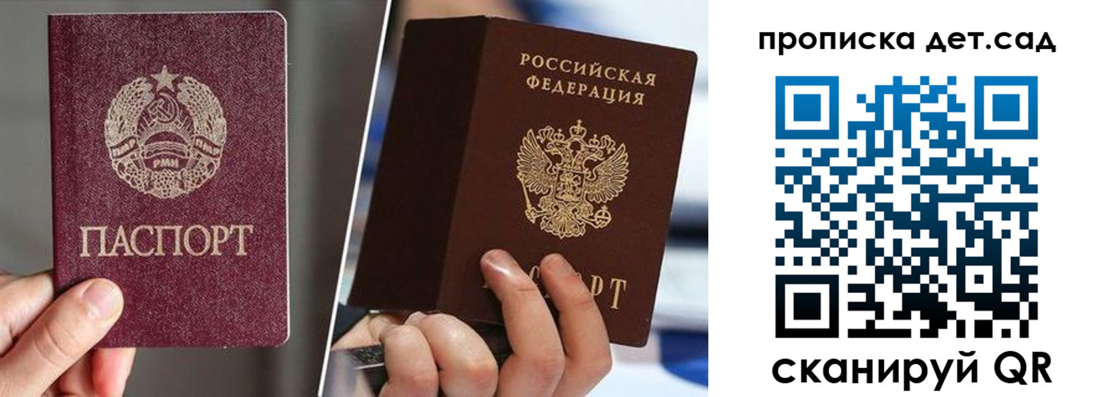 прописка поиск в Электрогорске