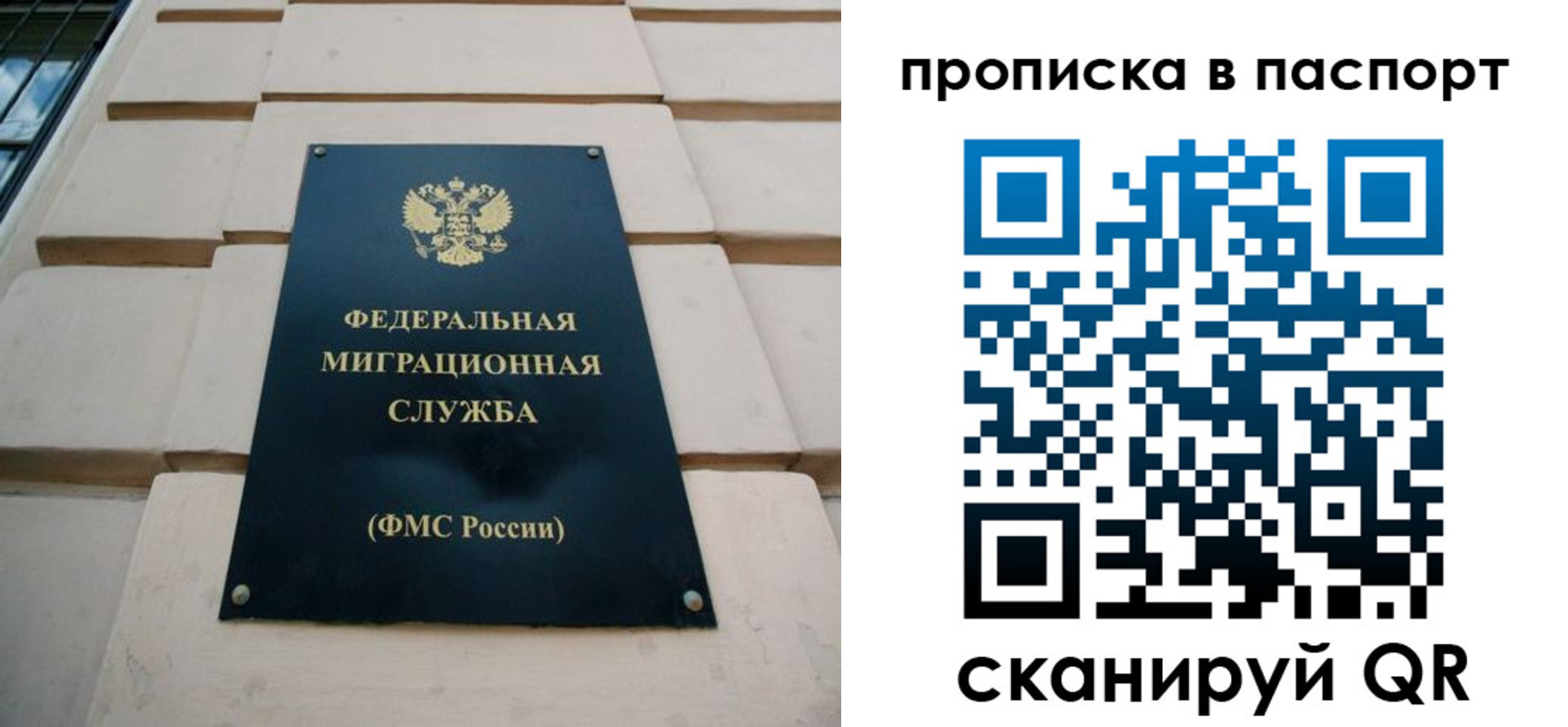найти адрес прописки в Электрогорске